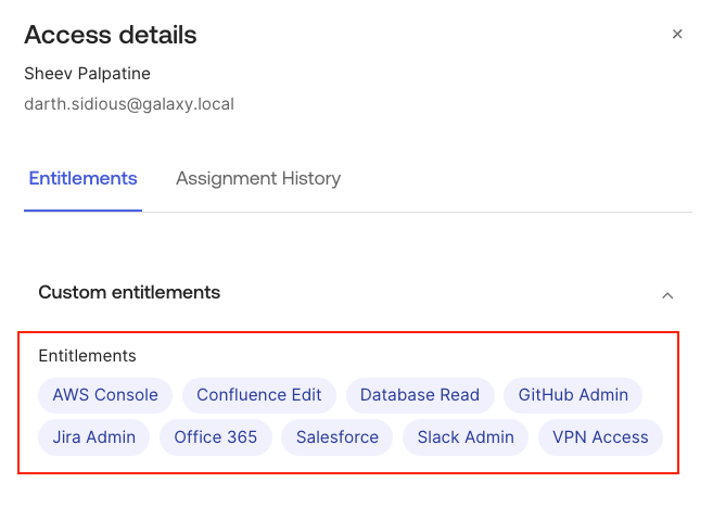 View user entitlements and access permissions synced from database
