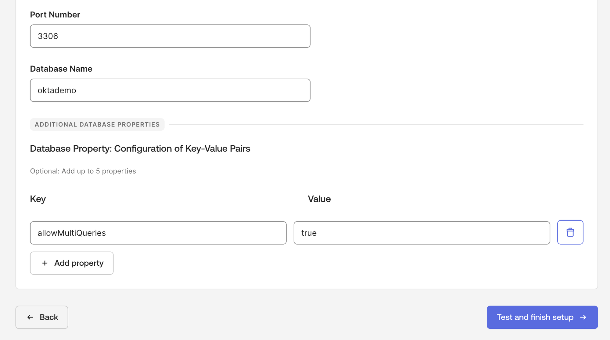 Configure MySQL database connection details including credentials and allowMultiQueries property